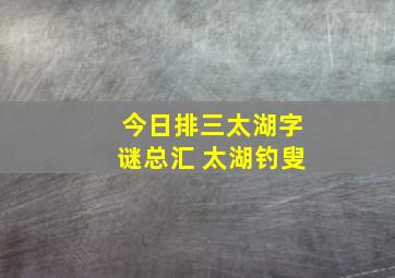 今日排三太湖字谜总汇 太湖钓叟